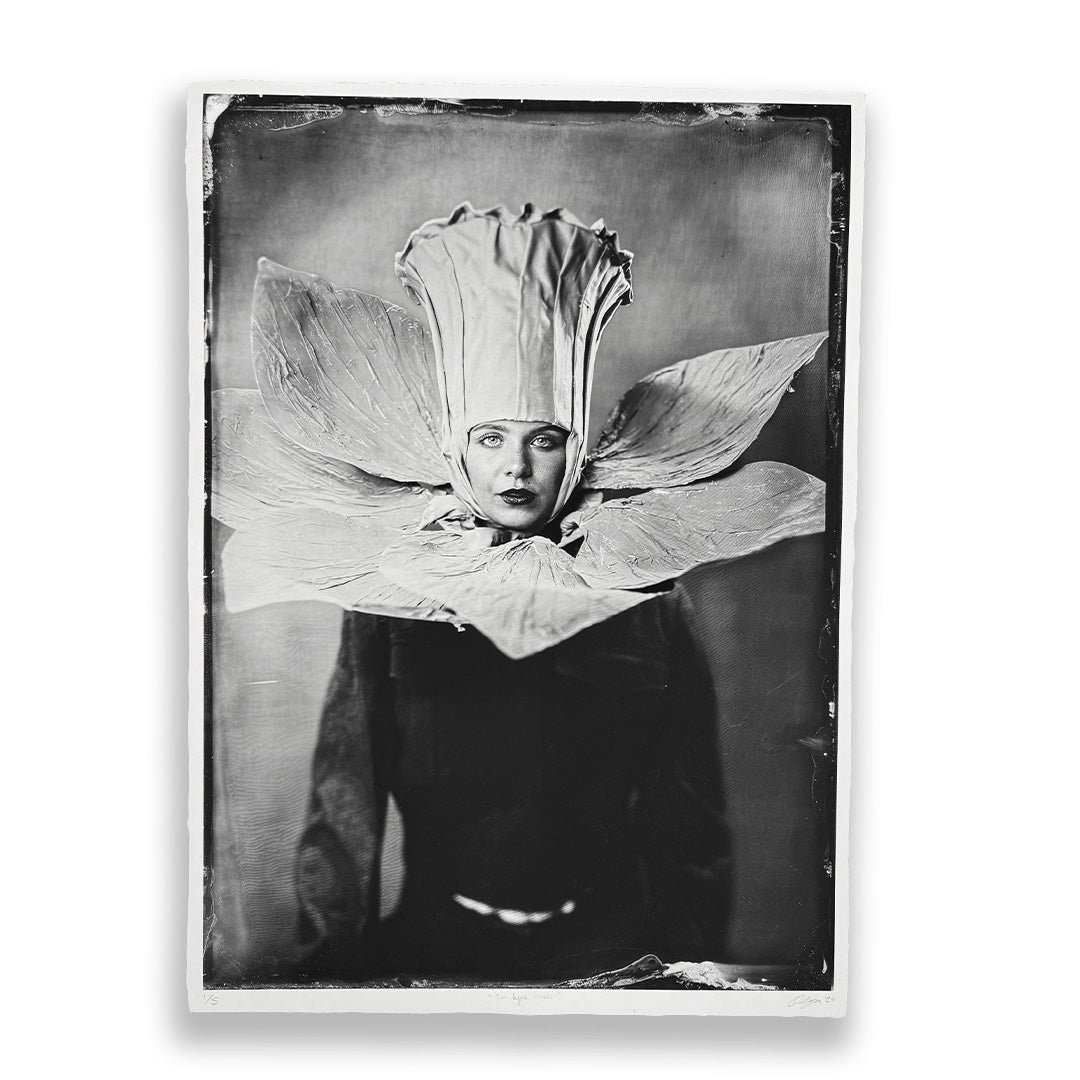 Olivia Rym – Originals & Prints at Camden Open Air Gallery