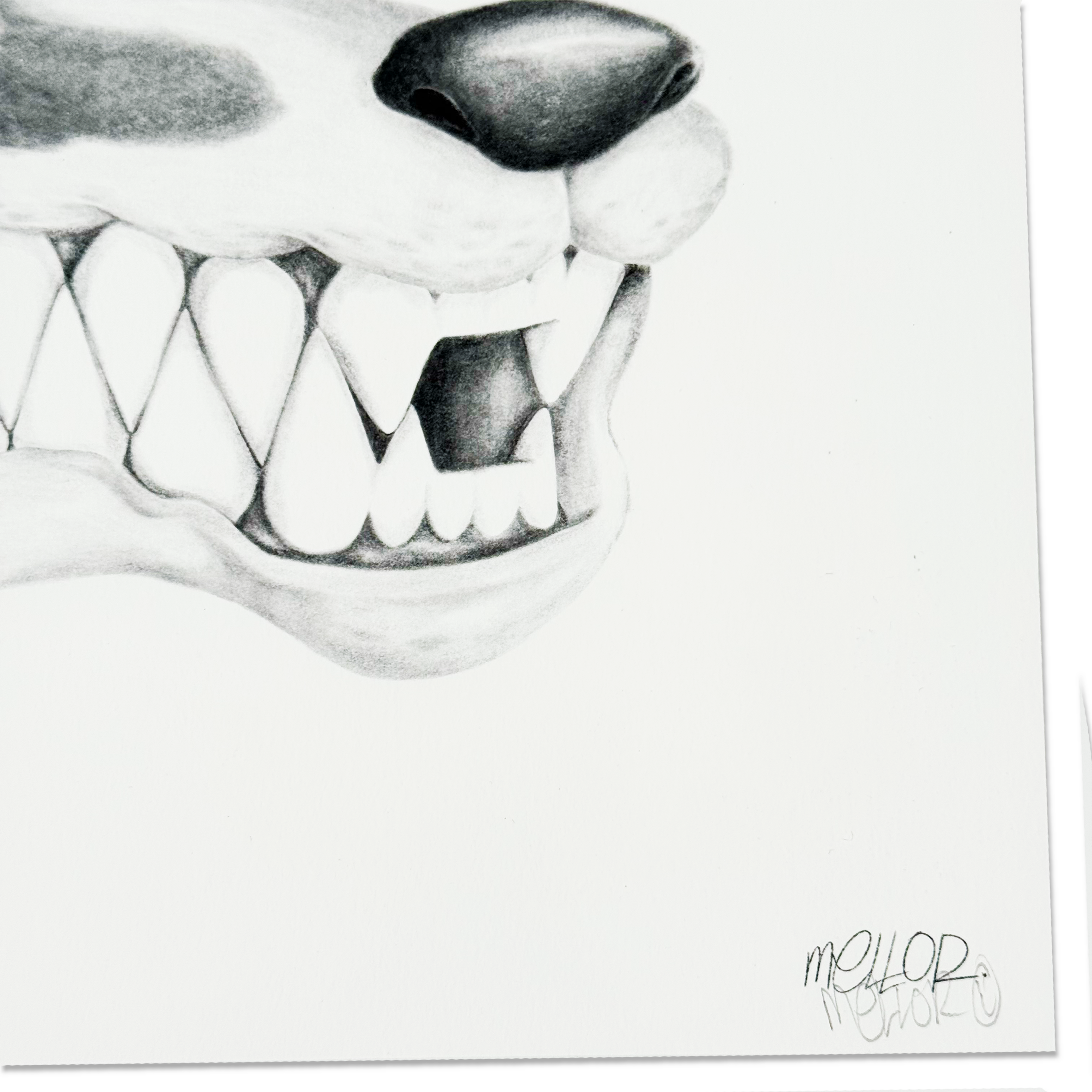 Mellor - K9 - Limited Edition Print