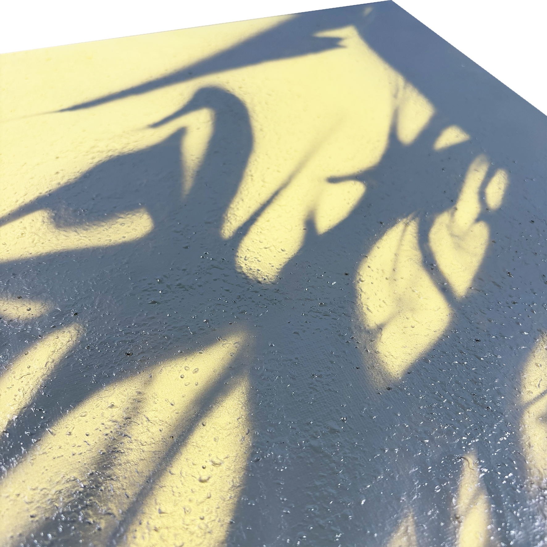 Cleon – Twisted Shadows and Palm Trees – Original Artwork