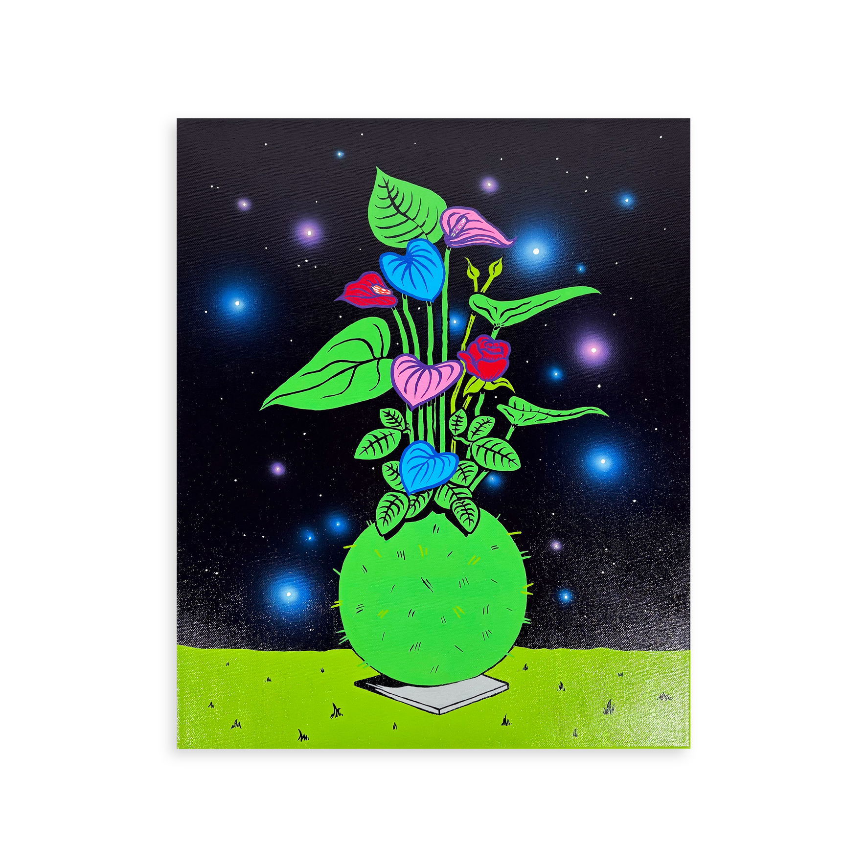 Miguel H. Cuar - Kokedama N2