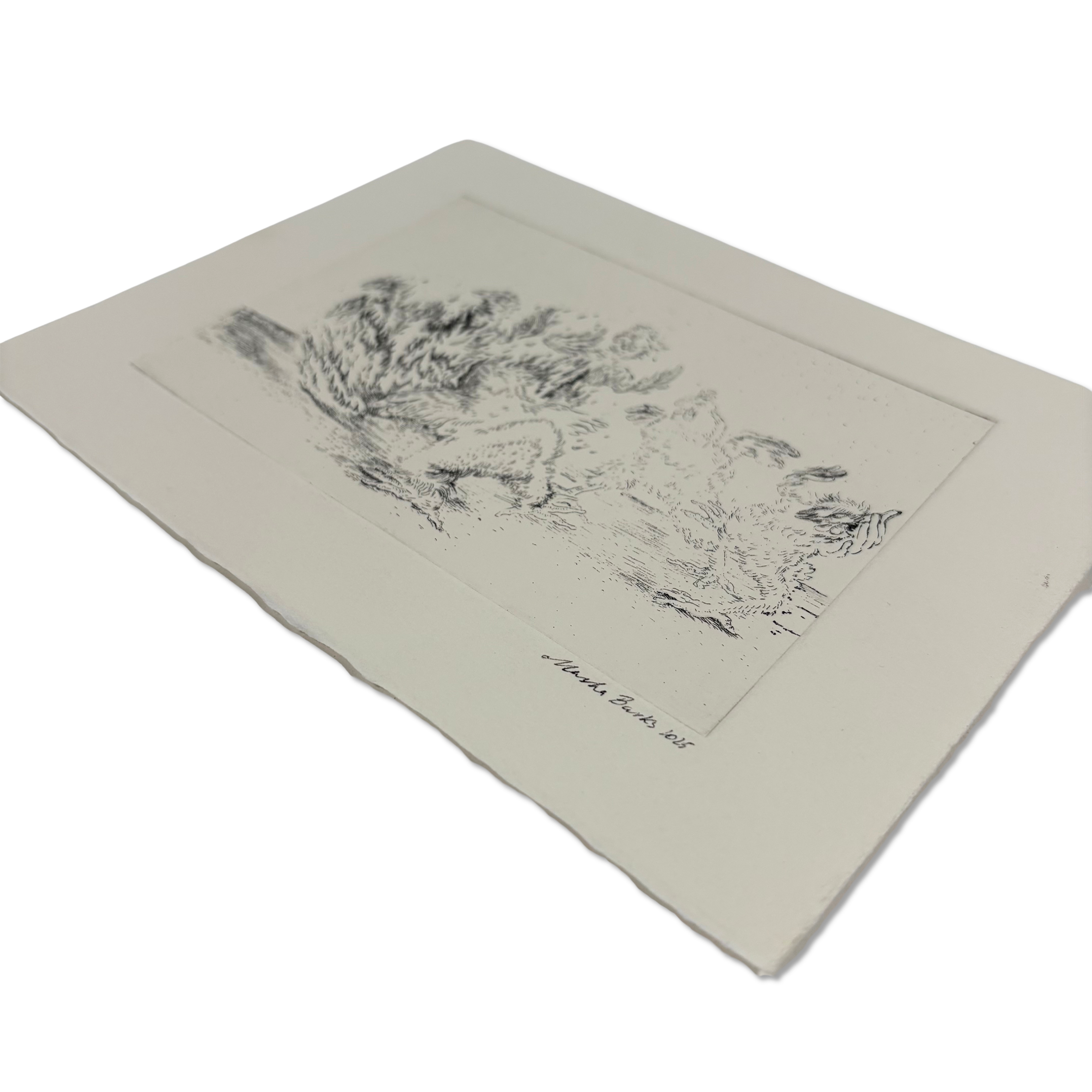 Collector’s view of Chicken Run etching by Masha Barks