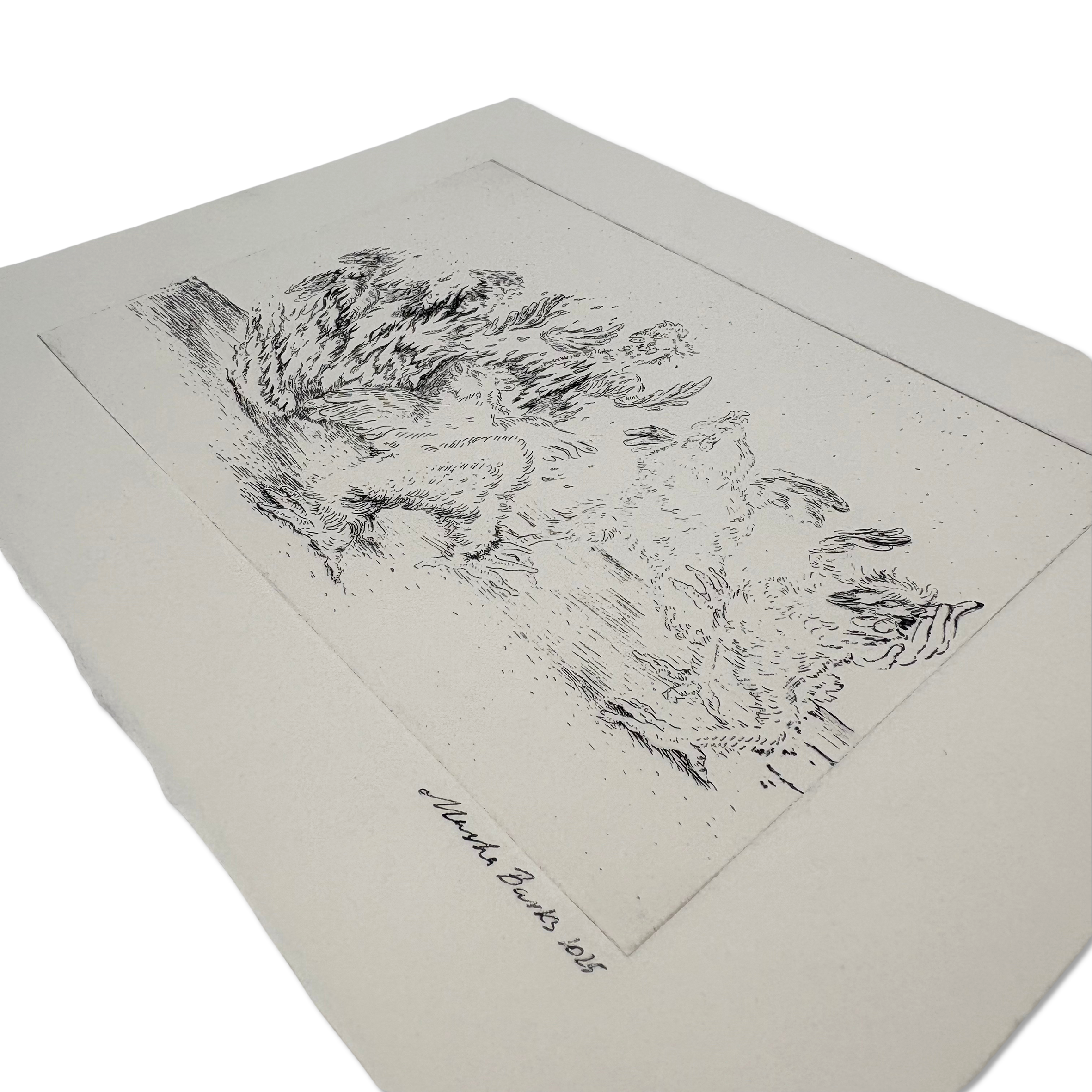 Detail of Chicken Run artwork – ink on paper by Masha Barks