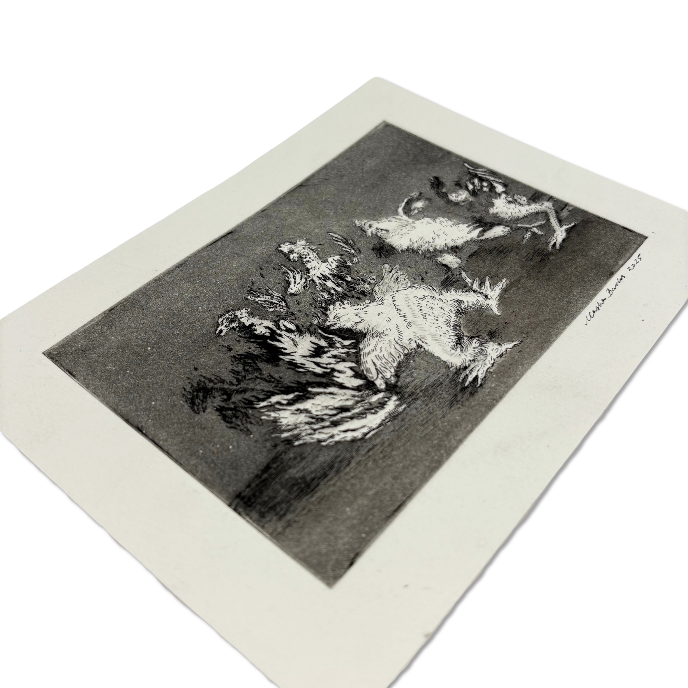 Masha Barks Chicken Run etching 19x14 cm – Camden Open Air Gallery