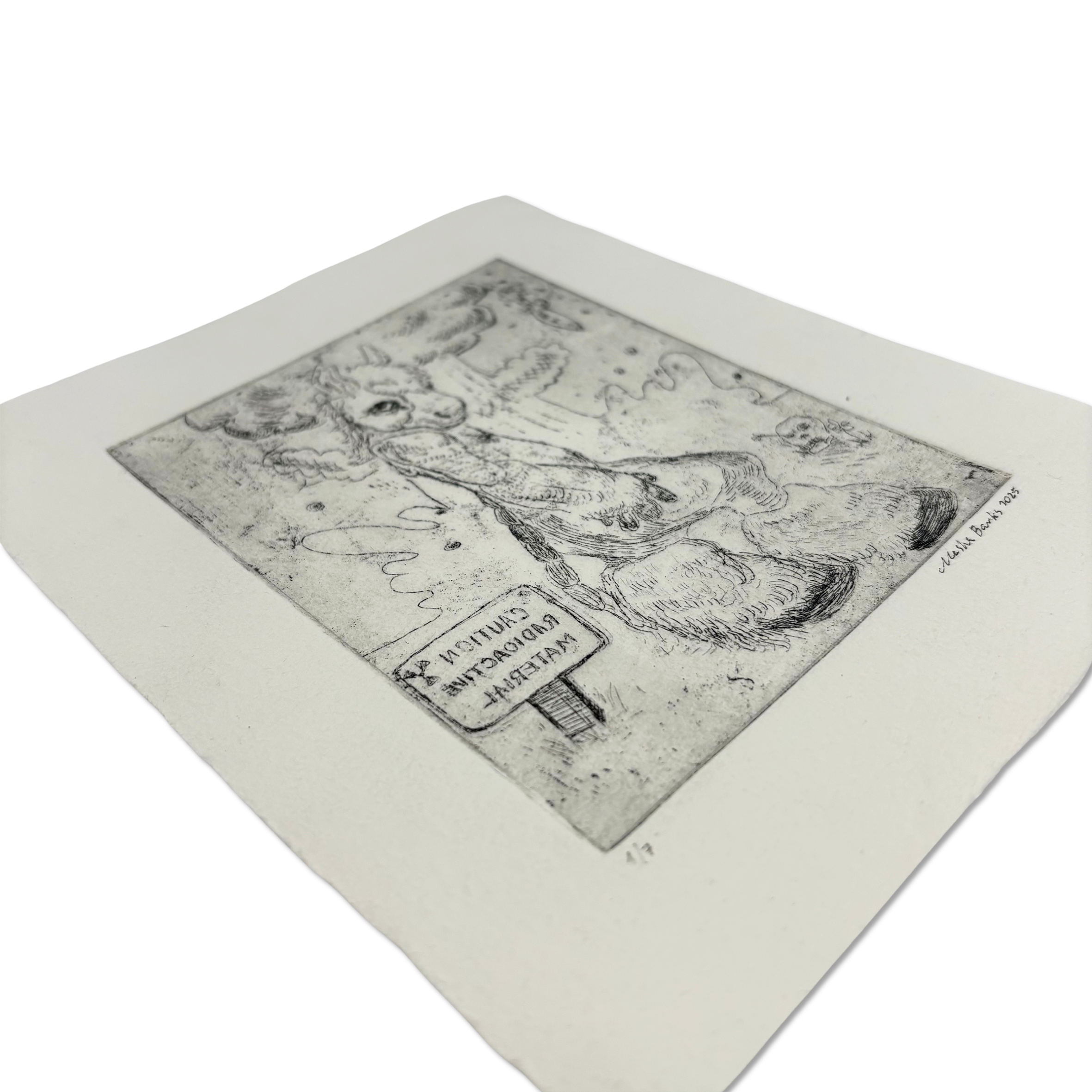 Close-up of intricate detail in Masha Barks etching