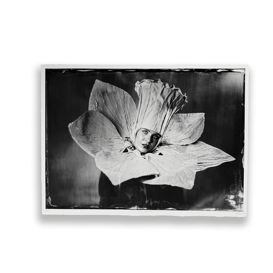 Olivia Rym - Tintype 4