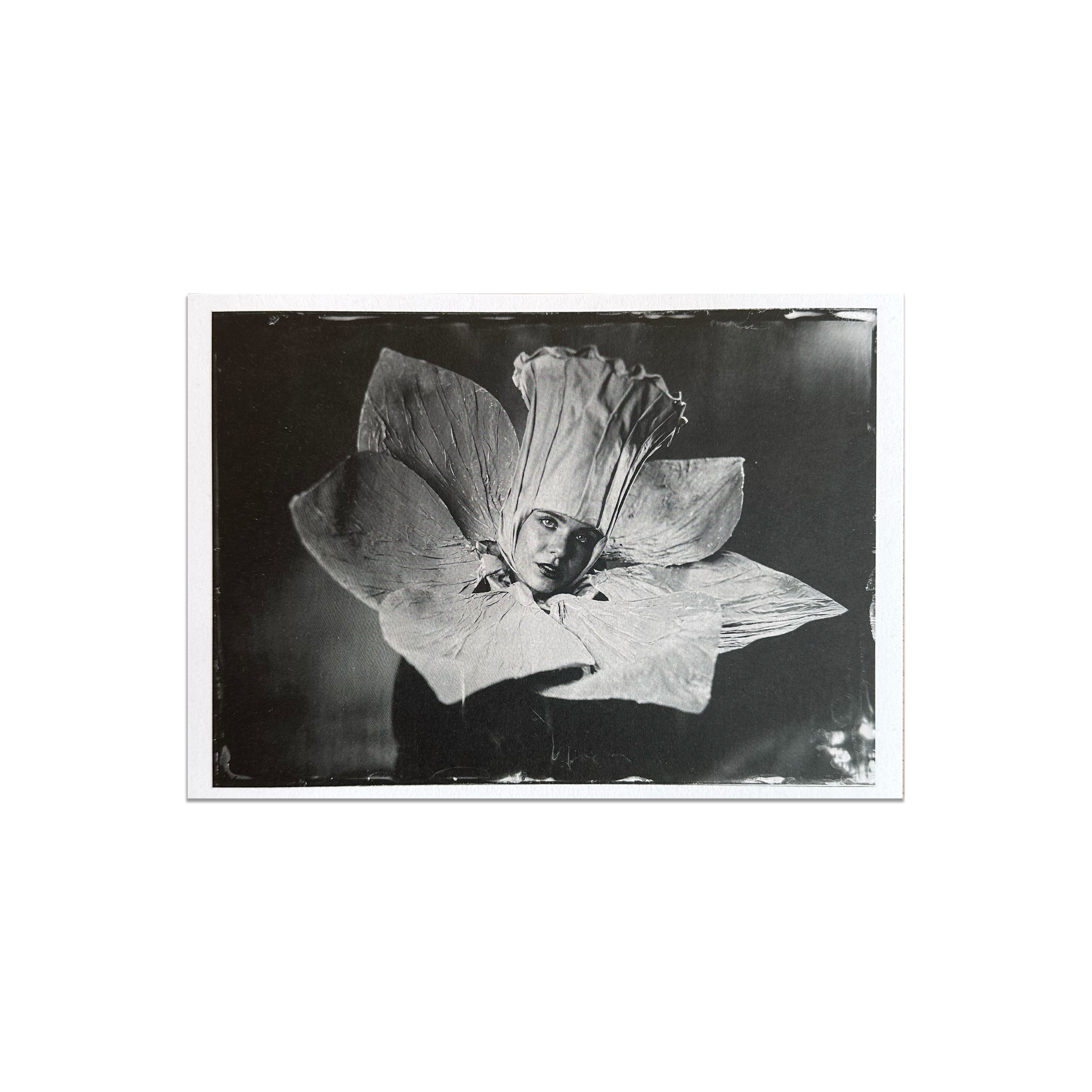 Olivia Rym - A5 Postcard - Camden Open Air Gallery Official